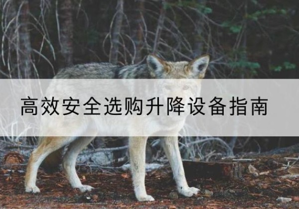 市中升降货梯厂家推荐-*安全选购升降设备指南