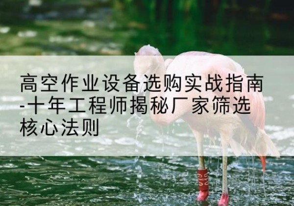 市中剪叉式升降机厂家-高空作业设备选购实战指南-十年工程师揭秘厂家筛选核心法则